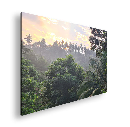 Hauptbild Farbig Standart