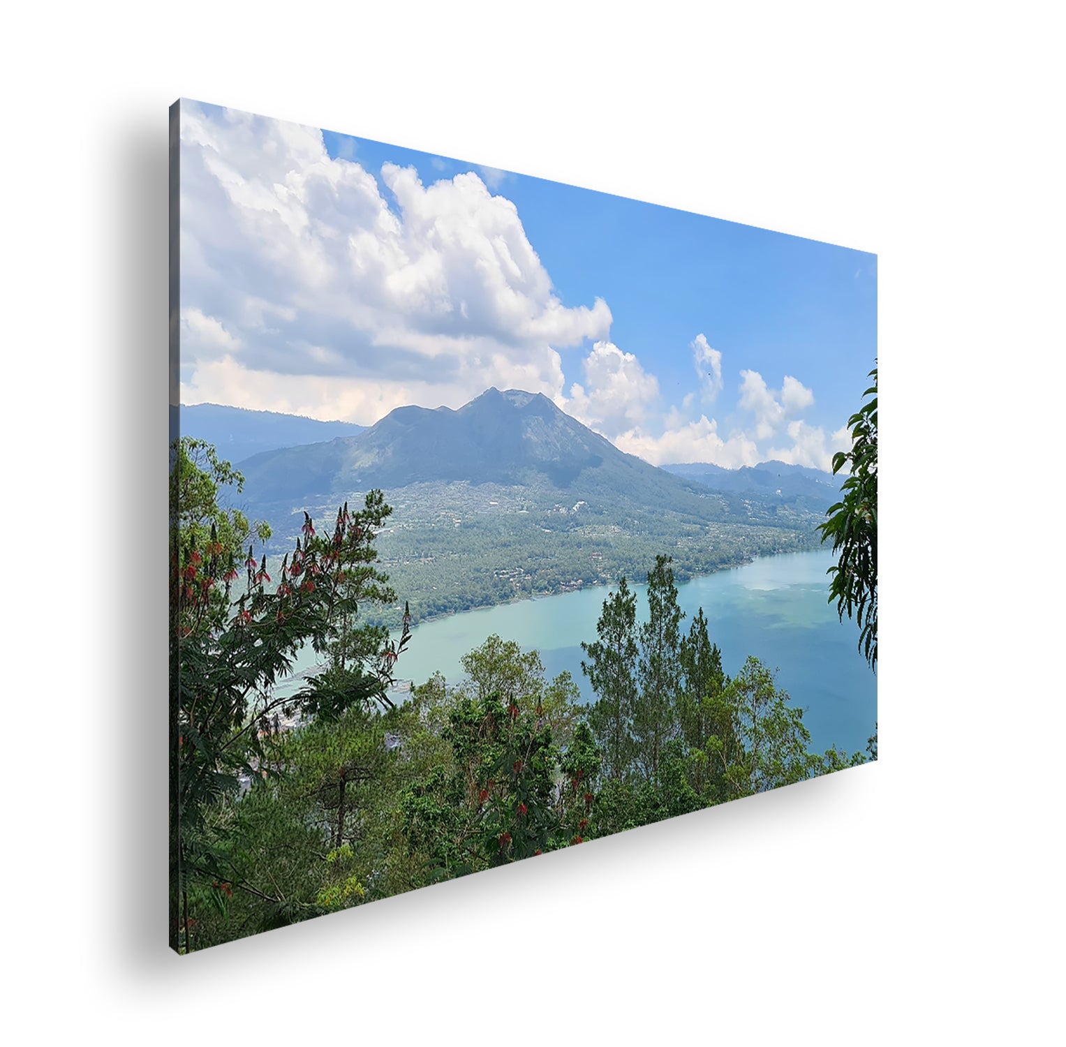 Hauptbild Farbig Standart