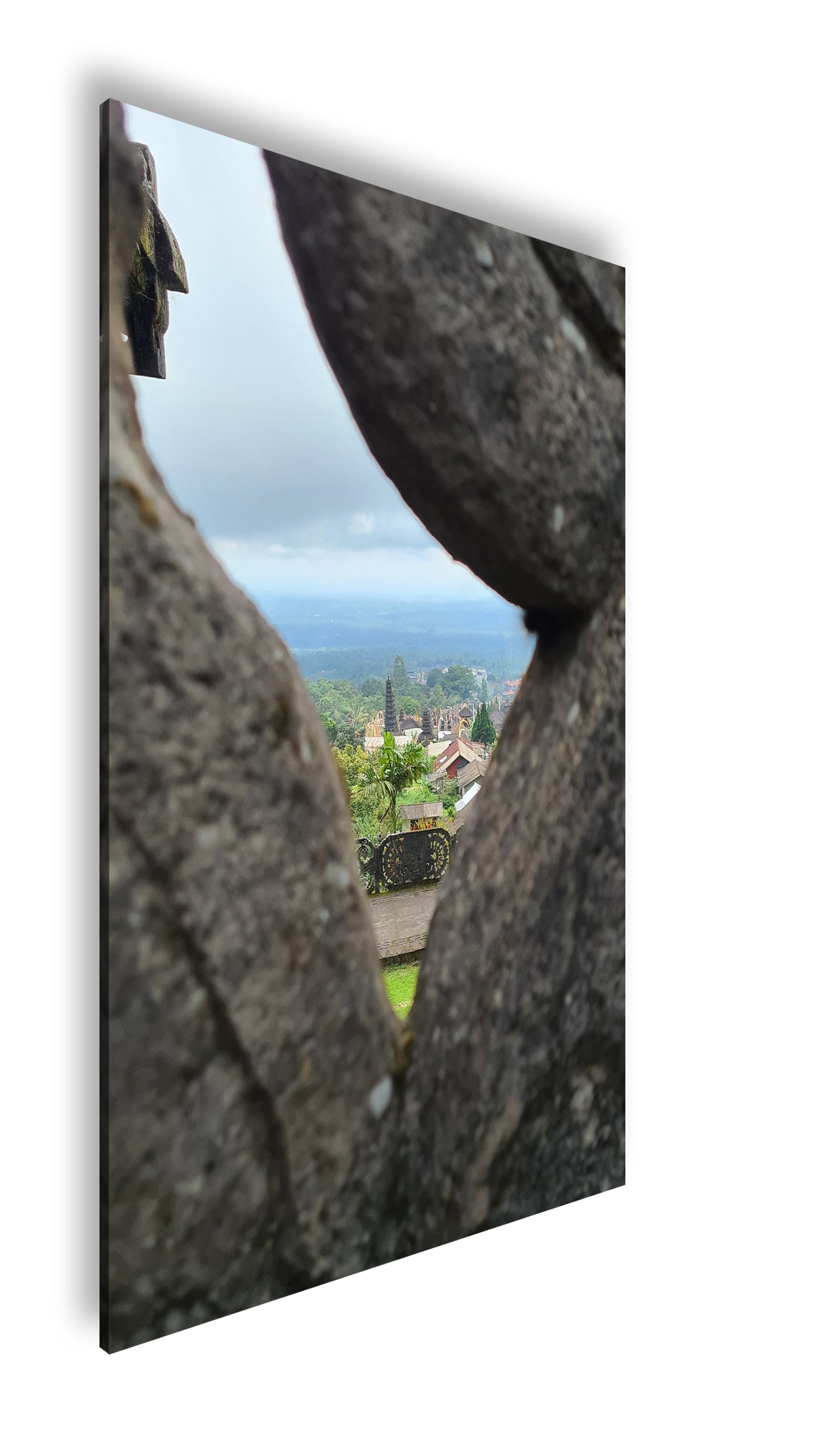 Hauptbild Farbig Standart