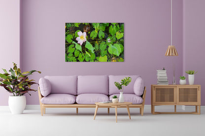 Vorschaubild Wohnzimmerbild 2