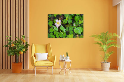 Vorschaubild Wohnzimmerbild 3