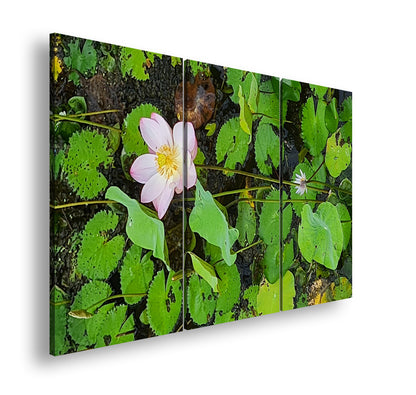 Hauptbild Farbig 3 Teilig