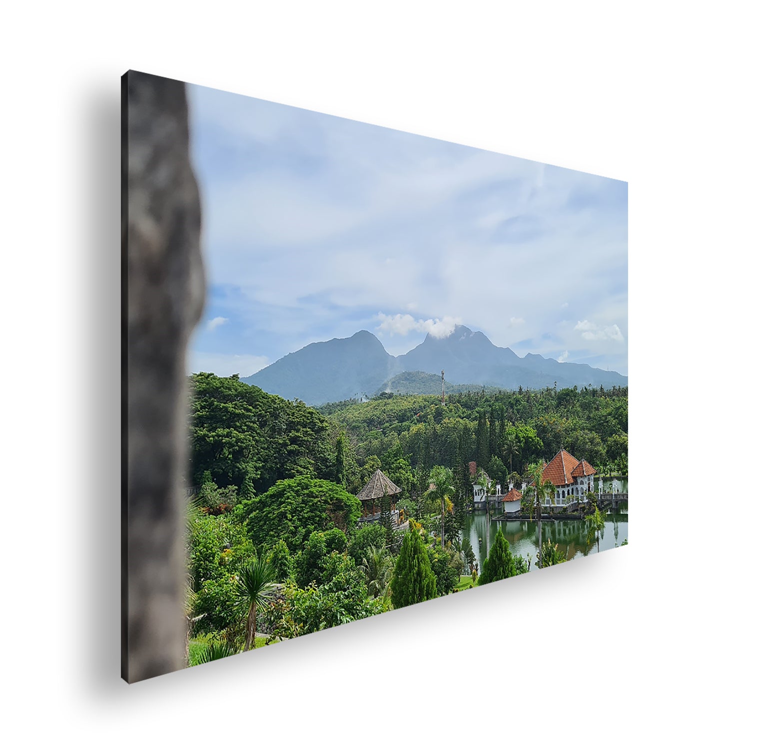 Hauptbild Farbig Standart