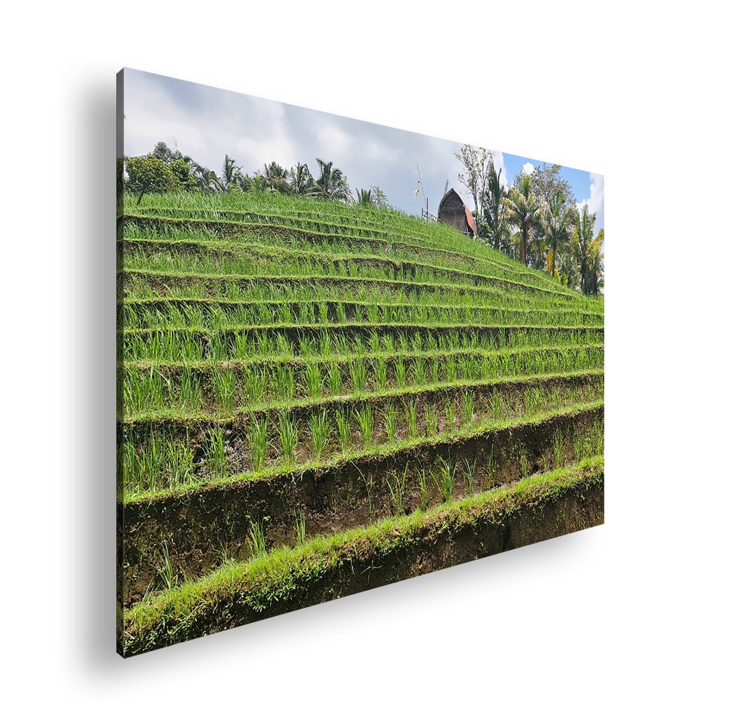 Hauptbild Farbig Standart