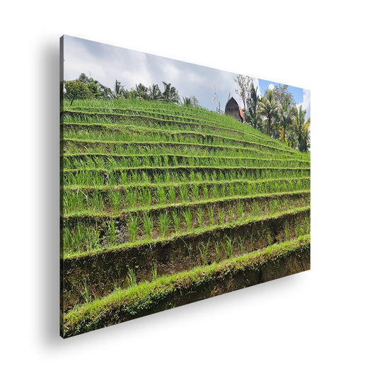 Hauptbild Farbig Standart