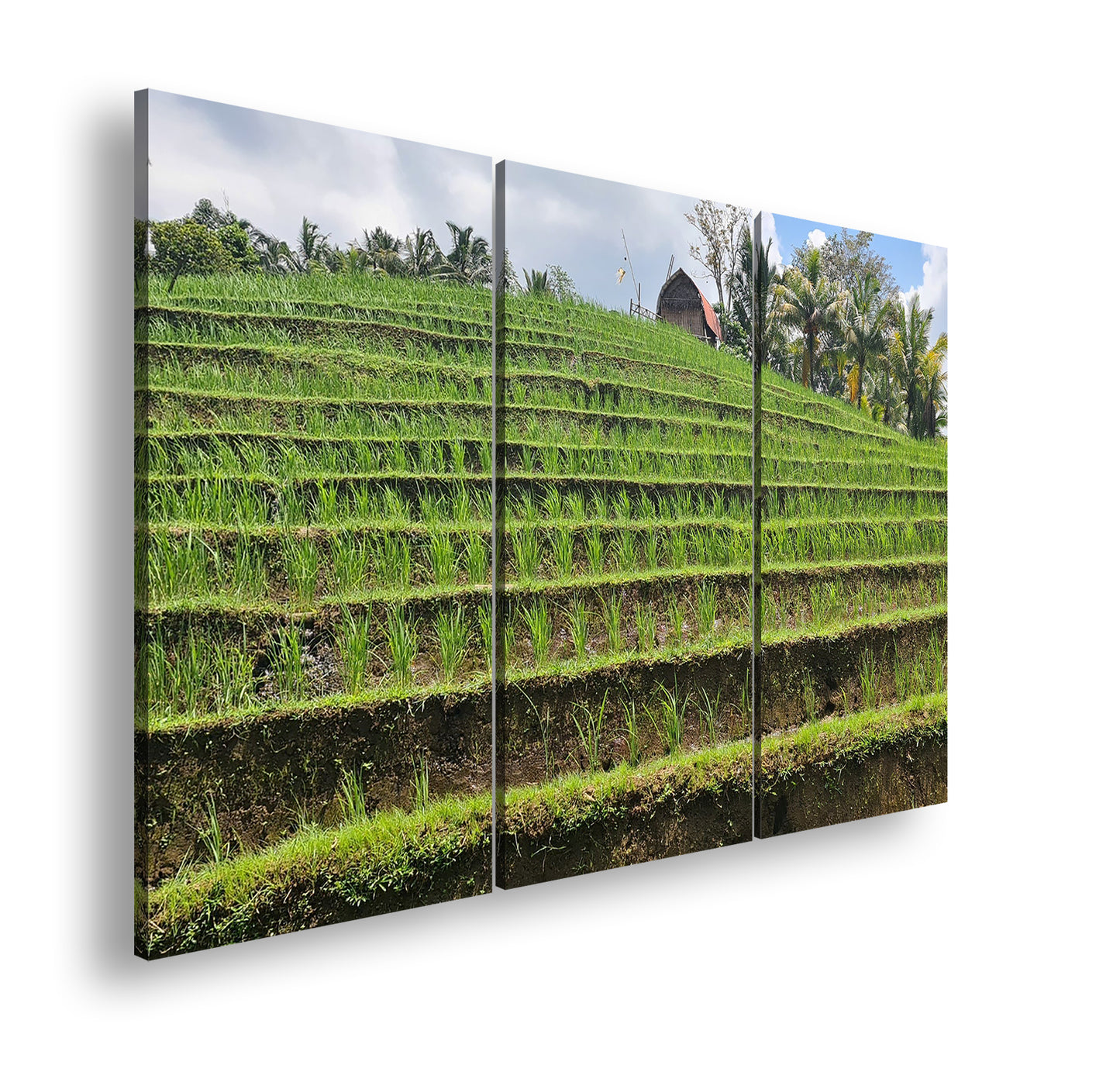 Hauptbild Farbig 3 Teilig