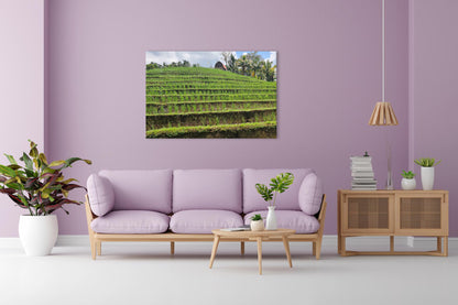 Vorschaubild Wohnzimmerbild 2