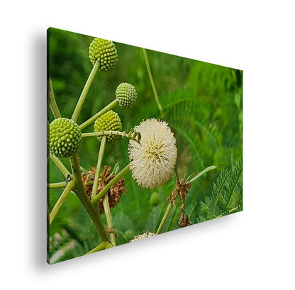 Hauptbild Farbig Standart