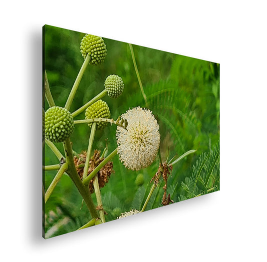 Hauptbild Farbig Standart