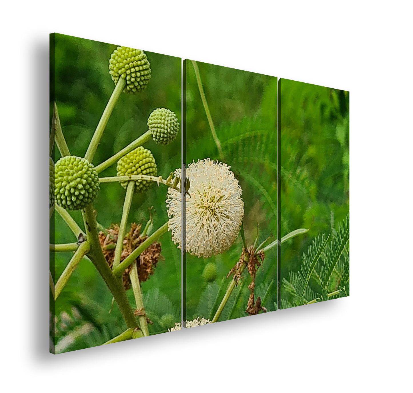 Hauptbild Farbig 3 Teilig