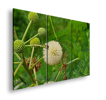 Hauptbild Farbig 3 Teilig