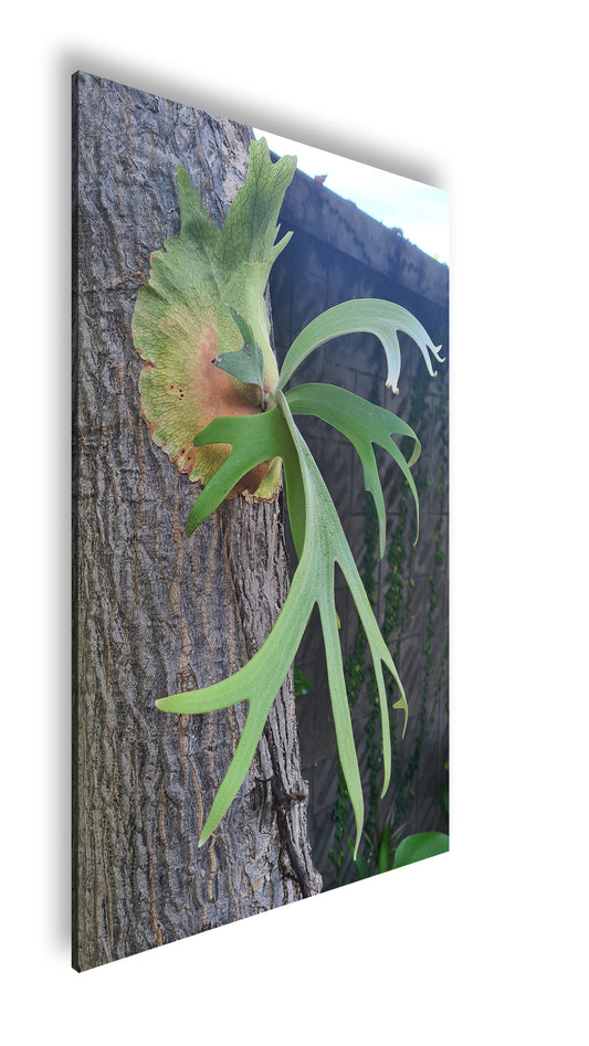 Hauptbild Farbig Standart