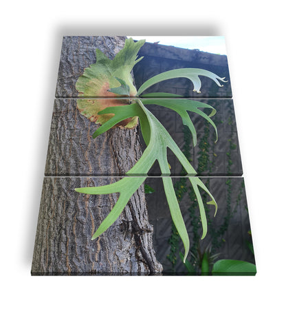 Hauptbild Farbig 3 Teilig