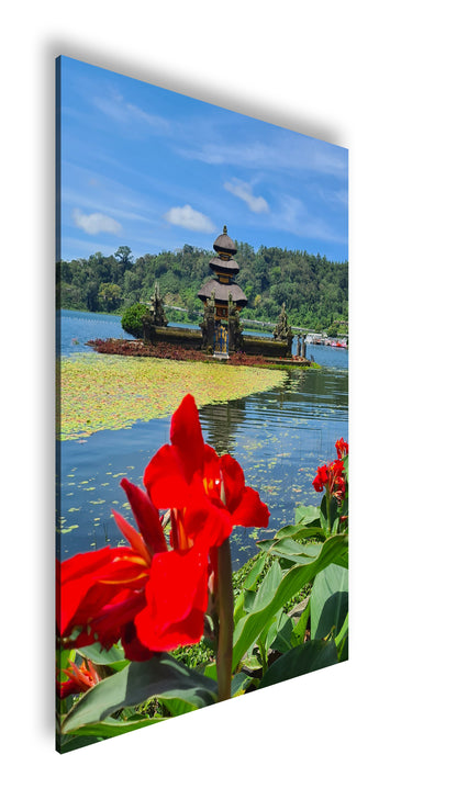 Hauptbild Farbig Standart