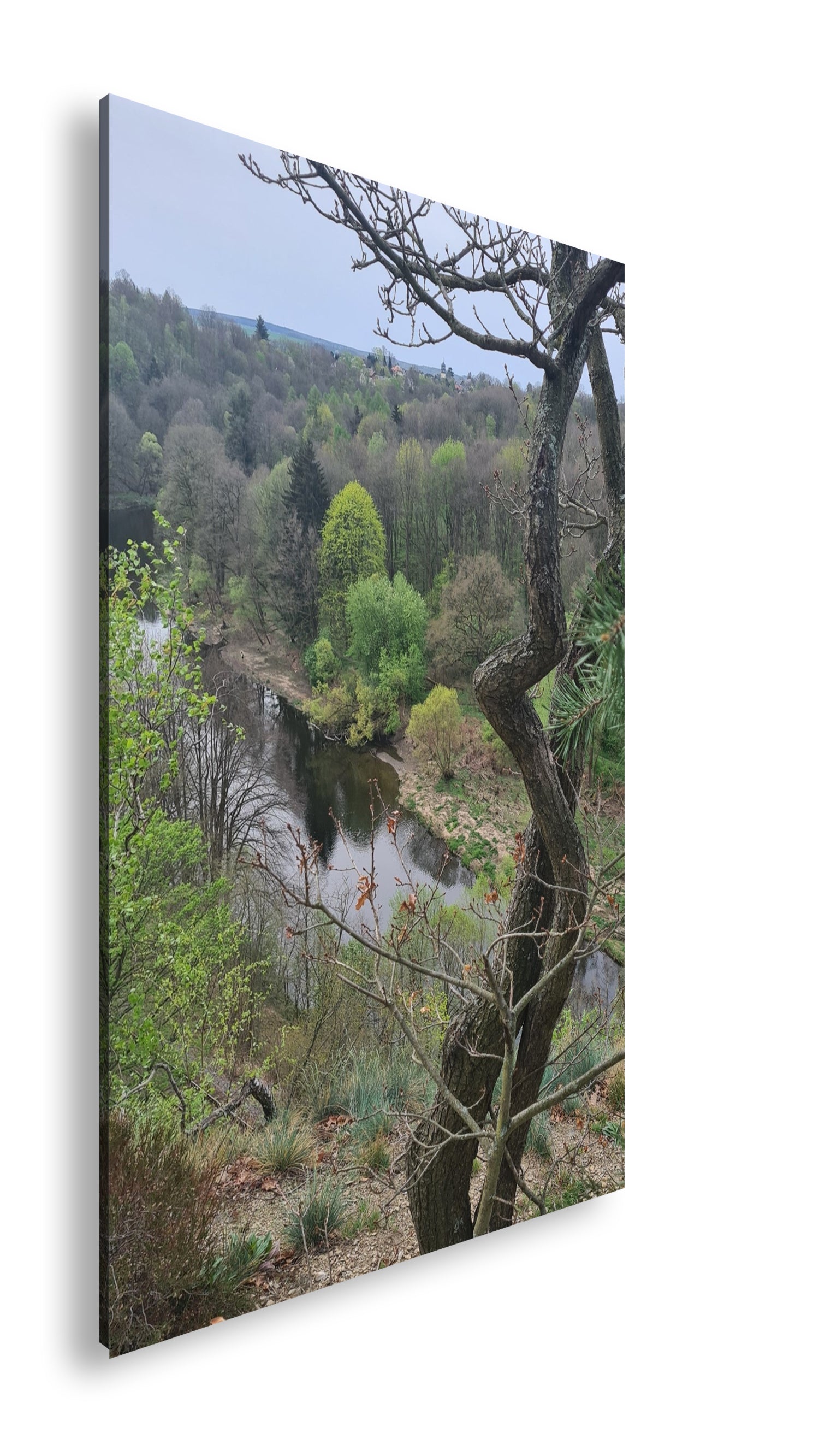 Hauptbild Farbig Standart