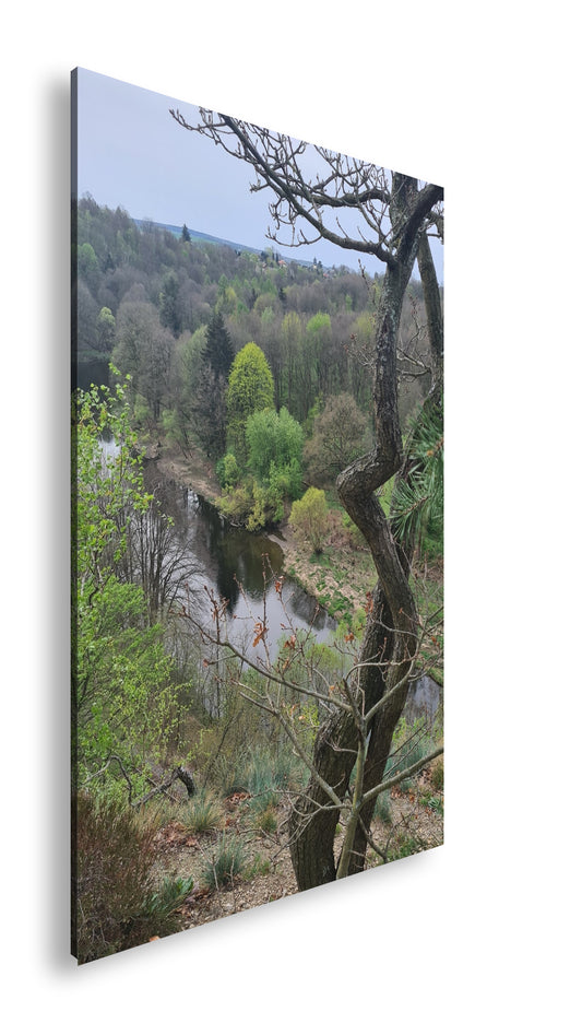 Hauptbild Farbig Standart