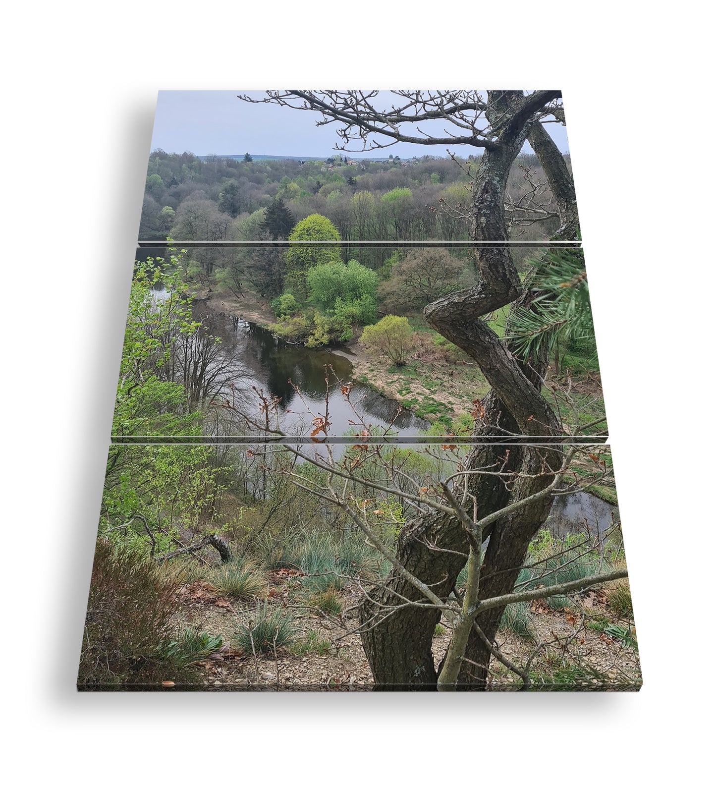 Hauptbild Farbig 3 Teilig