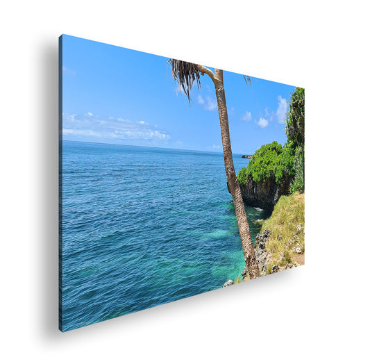 Hauptbild Farbig Standart