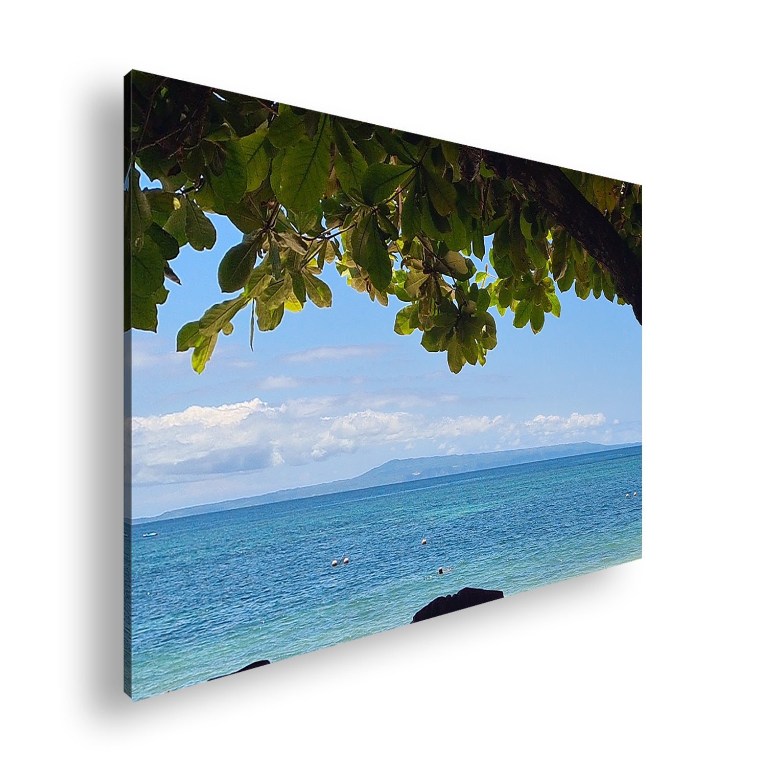 Hauptbild Farbig Standart