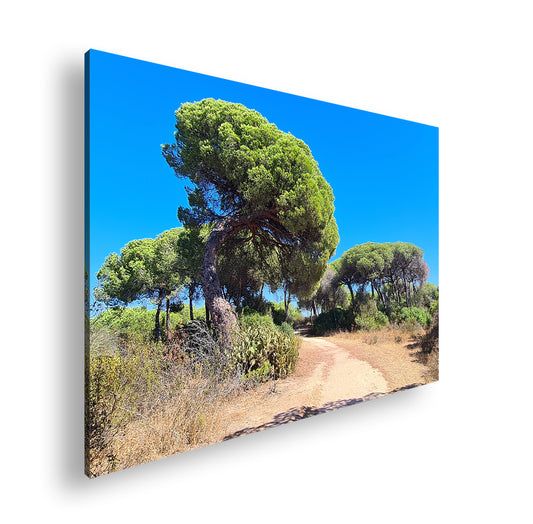 Hauptbild Farbig Standart