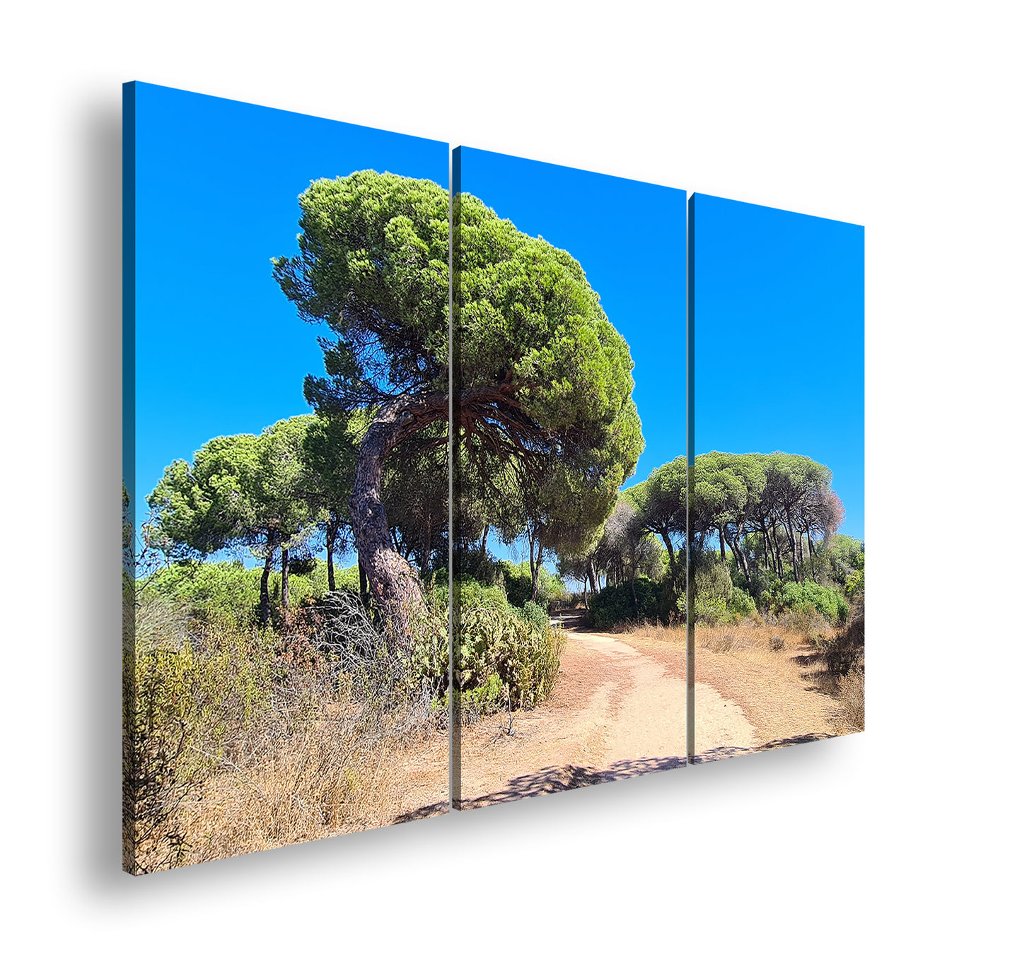 Hauptbild Farbig 3 Teilig