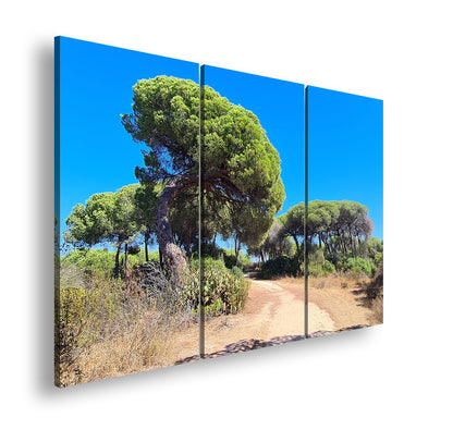 Hauptbild Farbig 3 Teilig