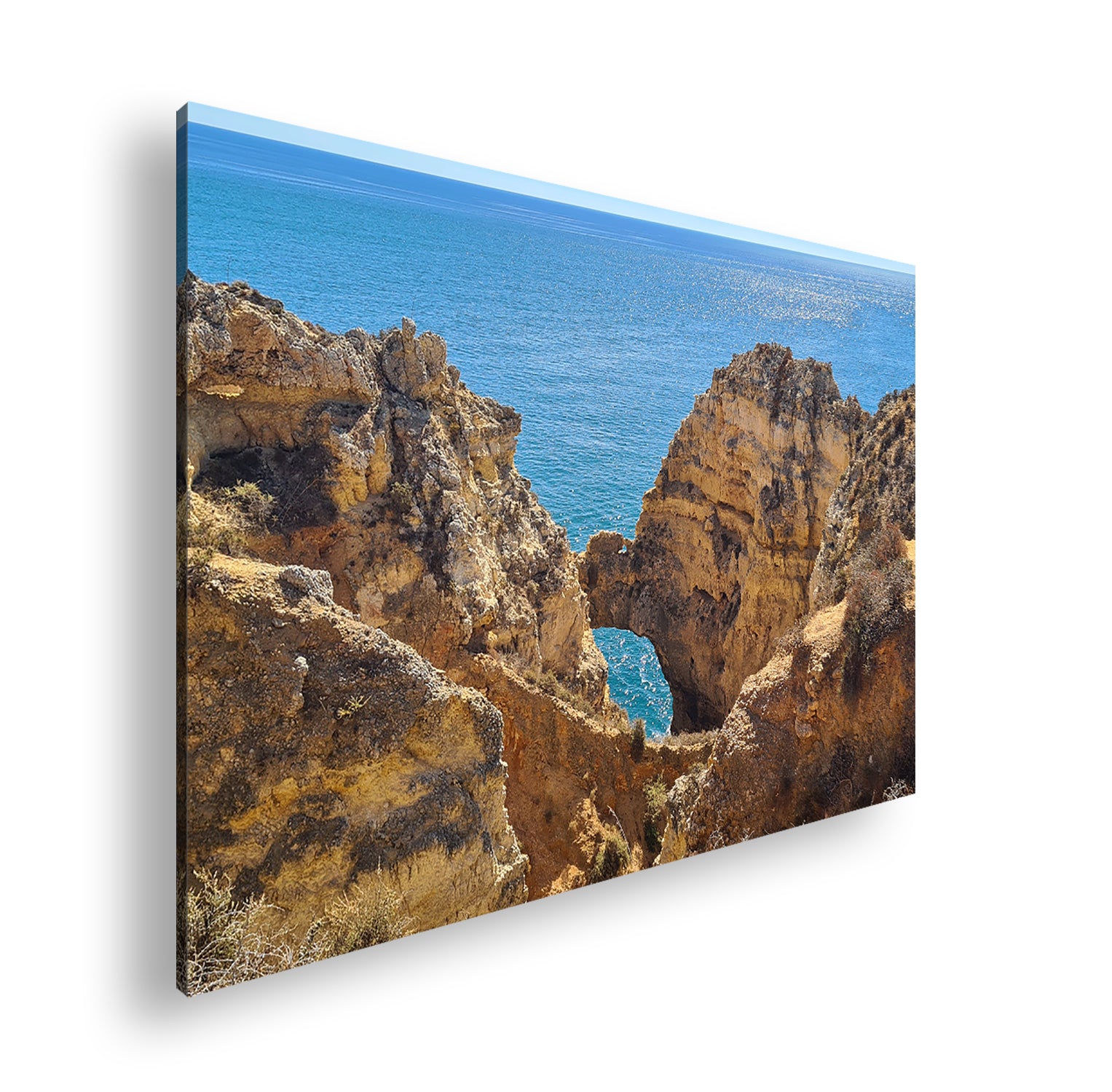 Hauptbild Farbig Standart