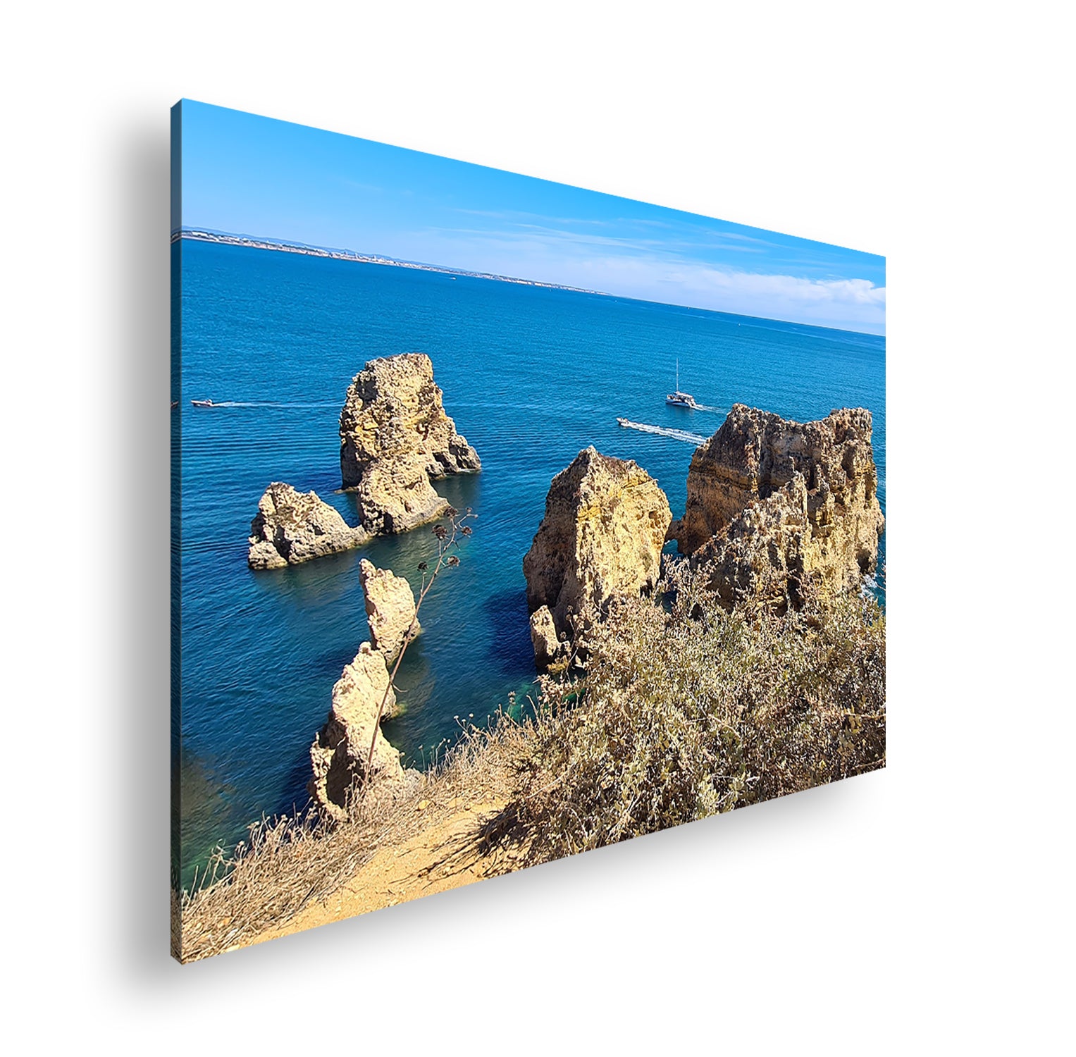 Hauptbild Farbig Standart