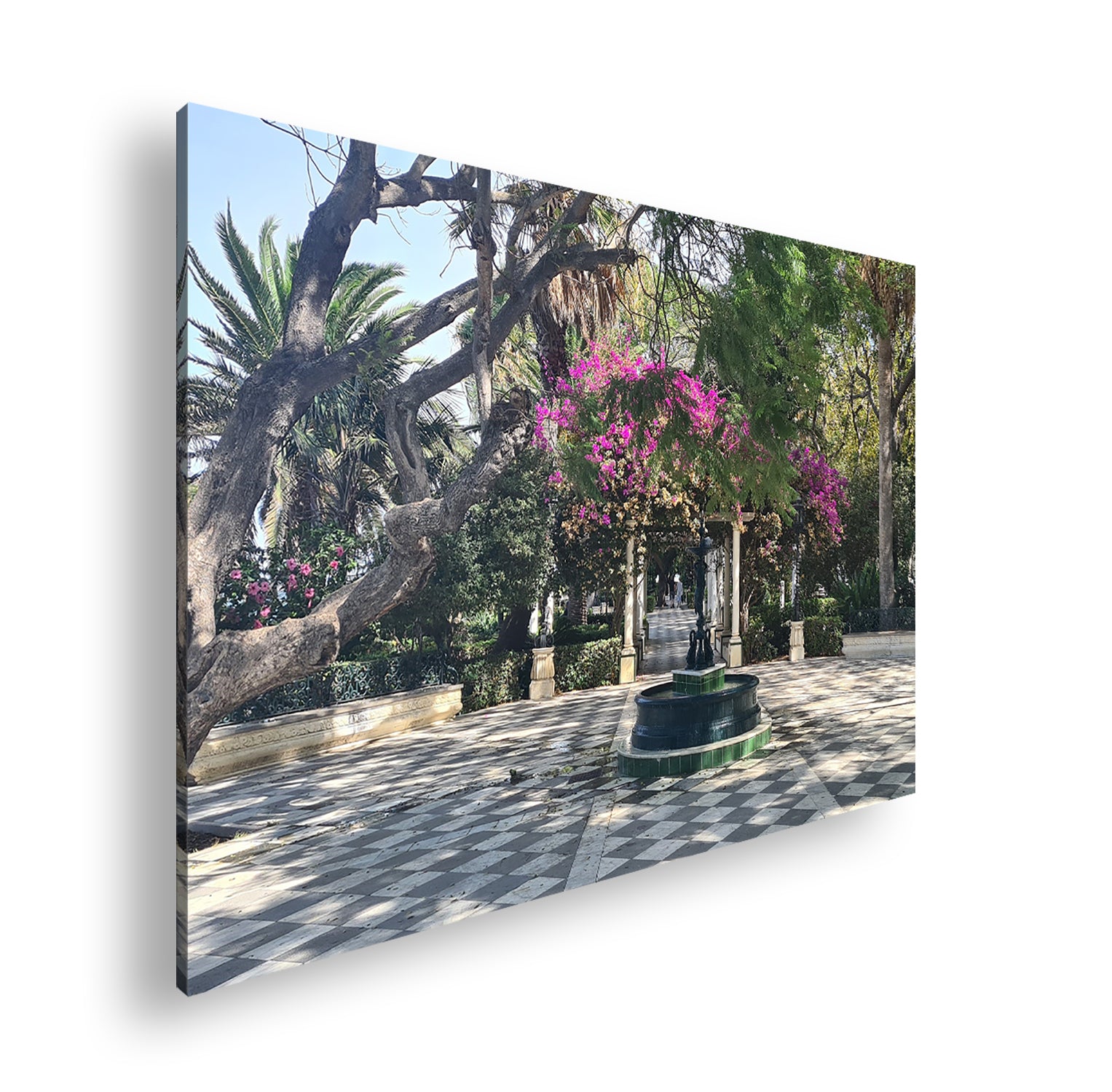 Hauptbild Farbig Standart