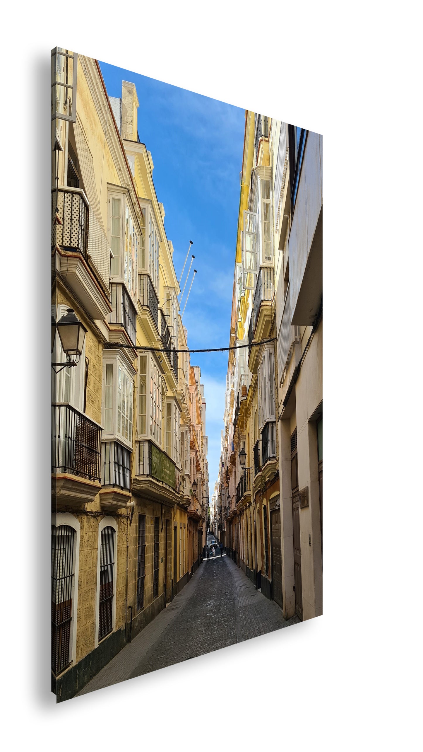 Hauptbild Farbig Standart