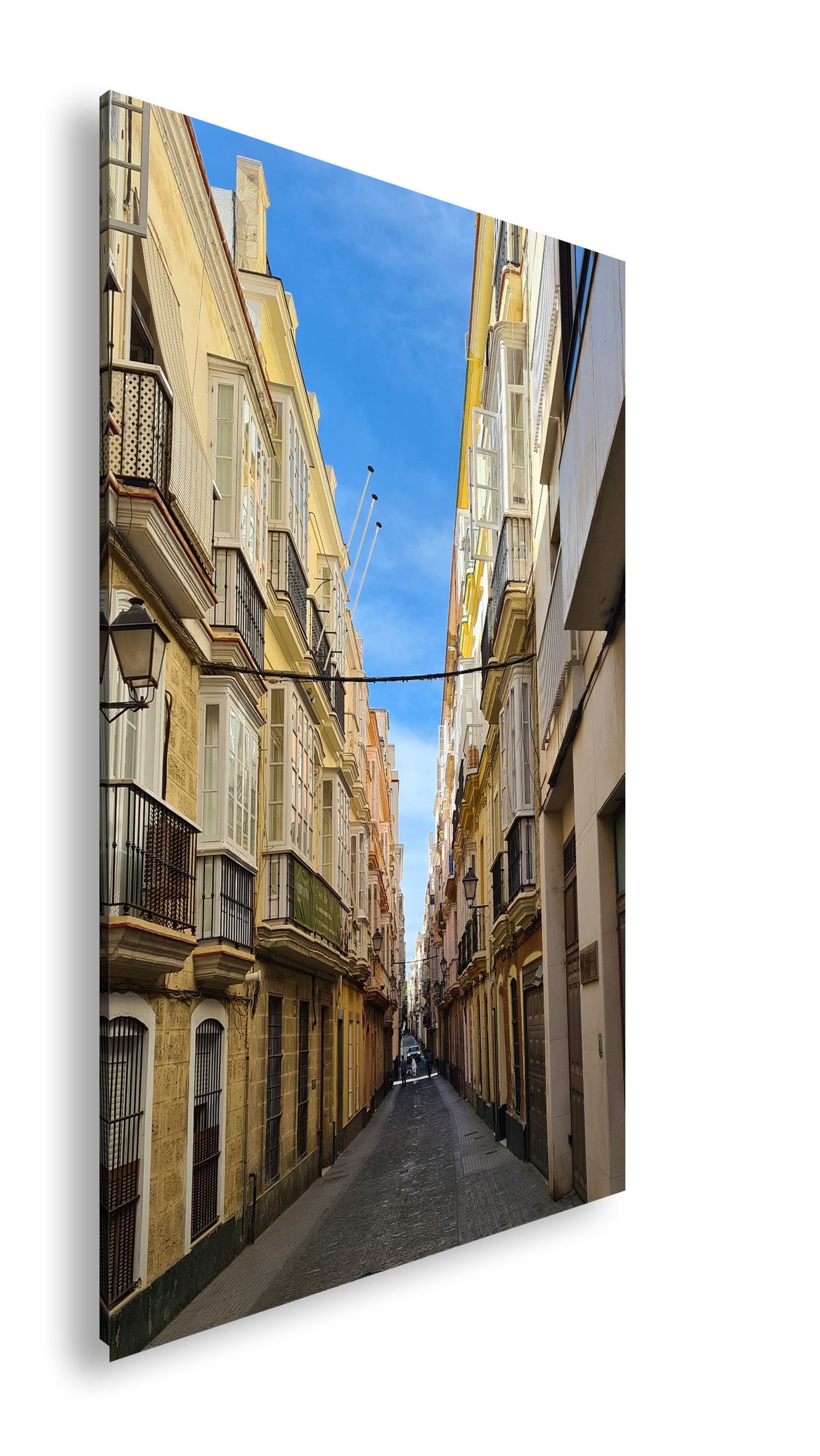 Hauptbild Farbig Standart