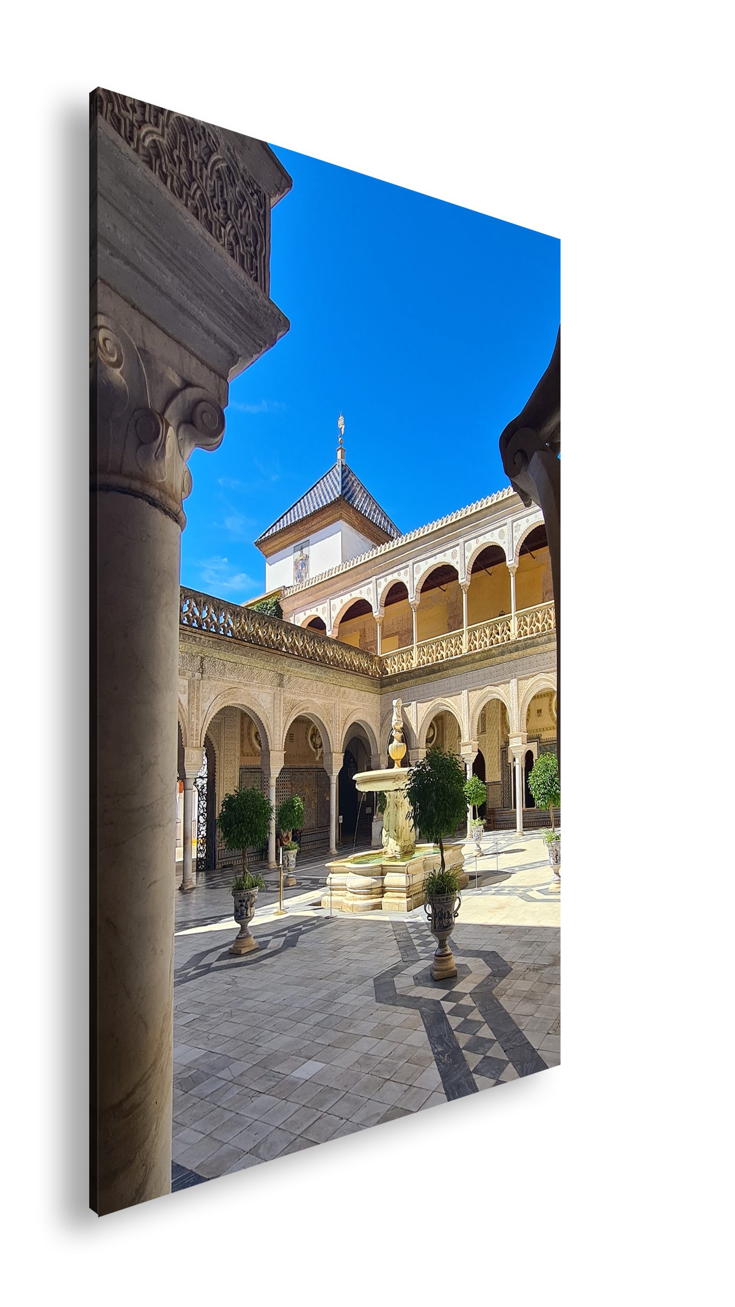 Hauptbild Farbig Standart