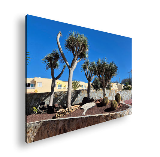 Hauptbild Farbig Standart