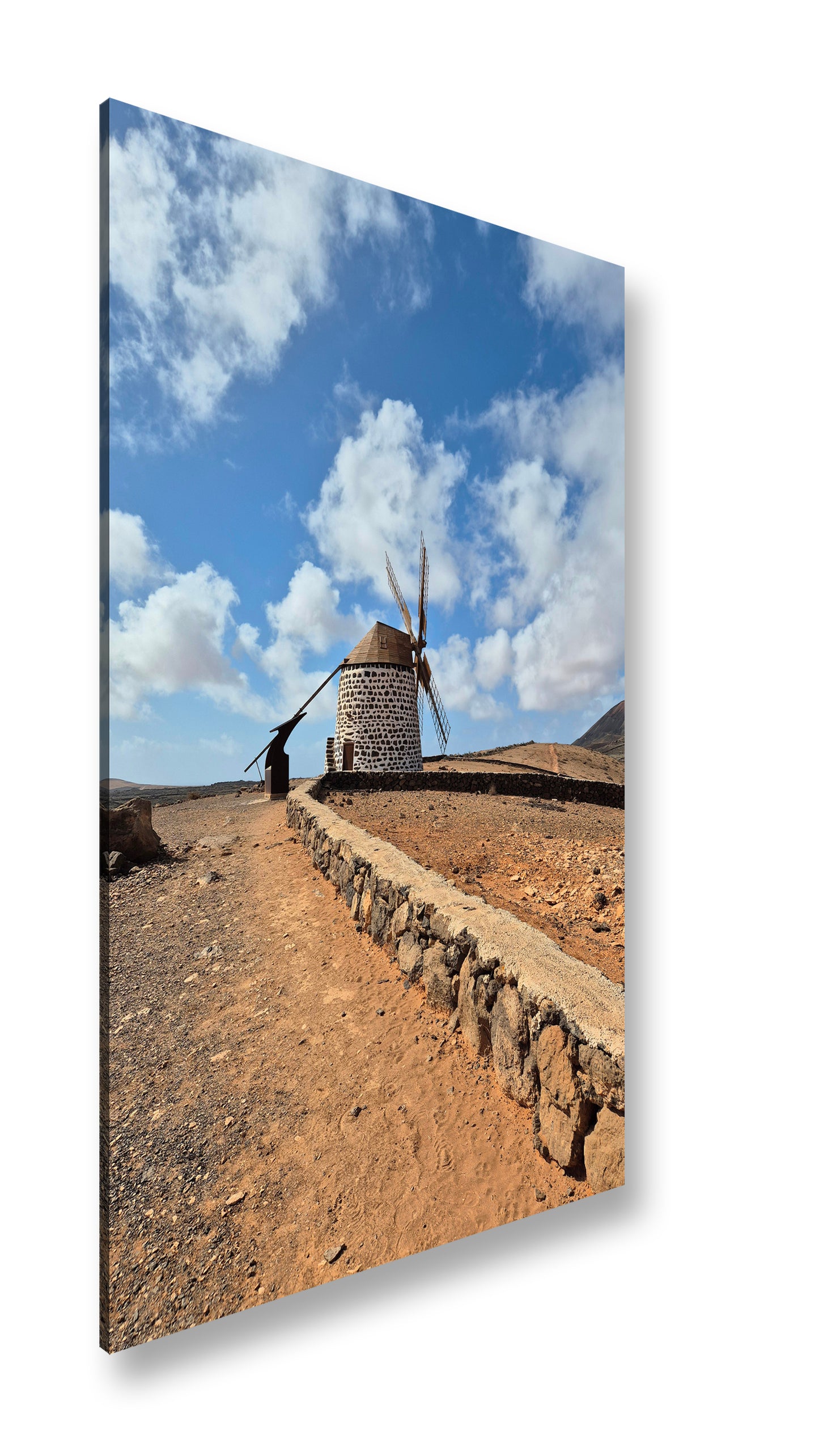 Hauptbild Farbig Standart