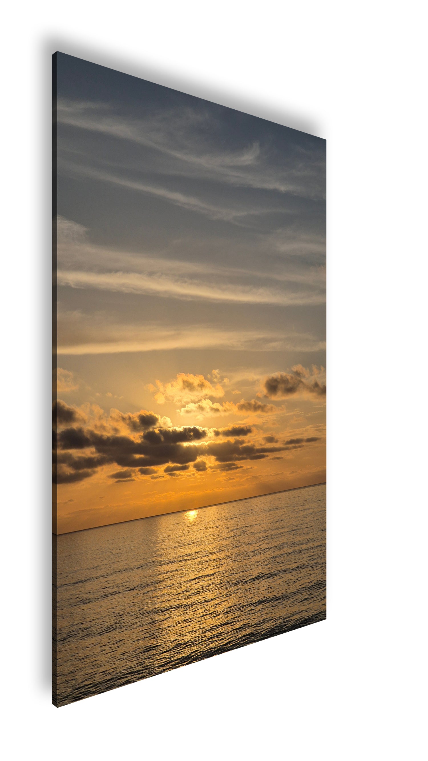 Hauptbild Farbig Standart