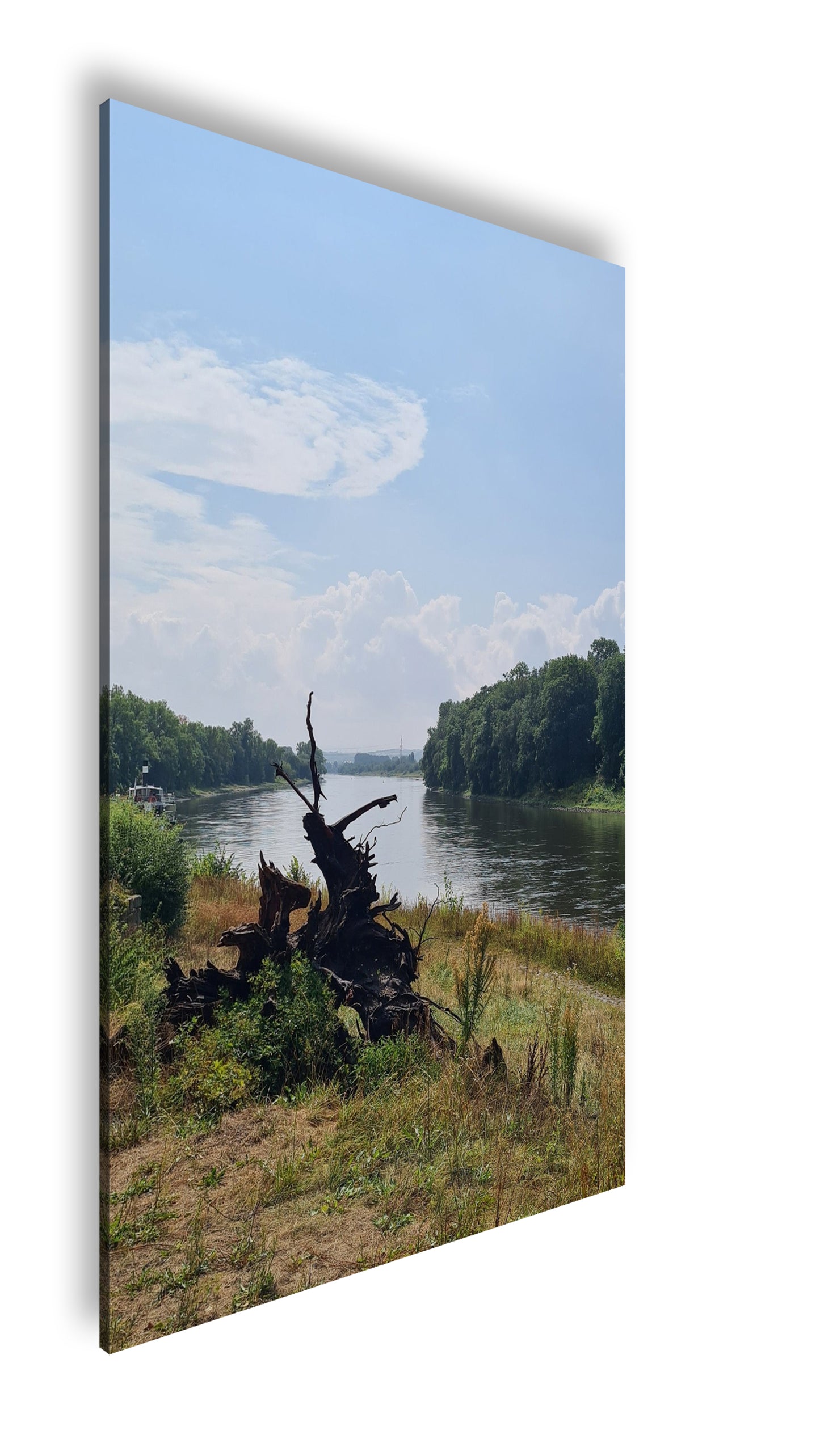 Hauptbild Farbig Standart