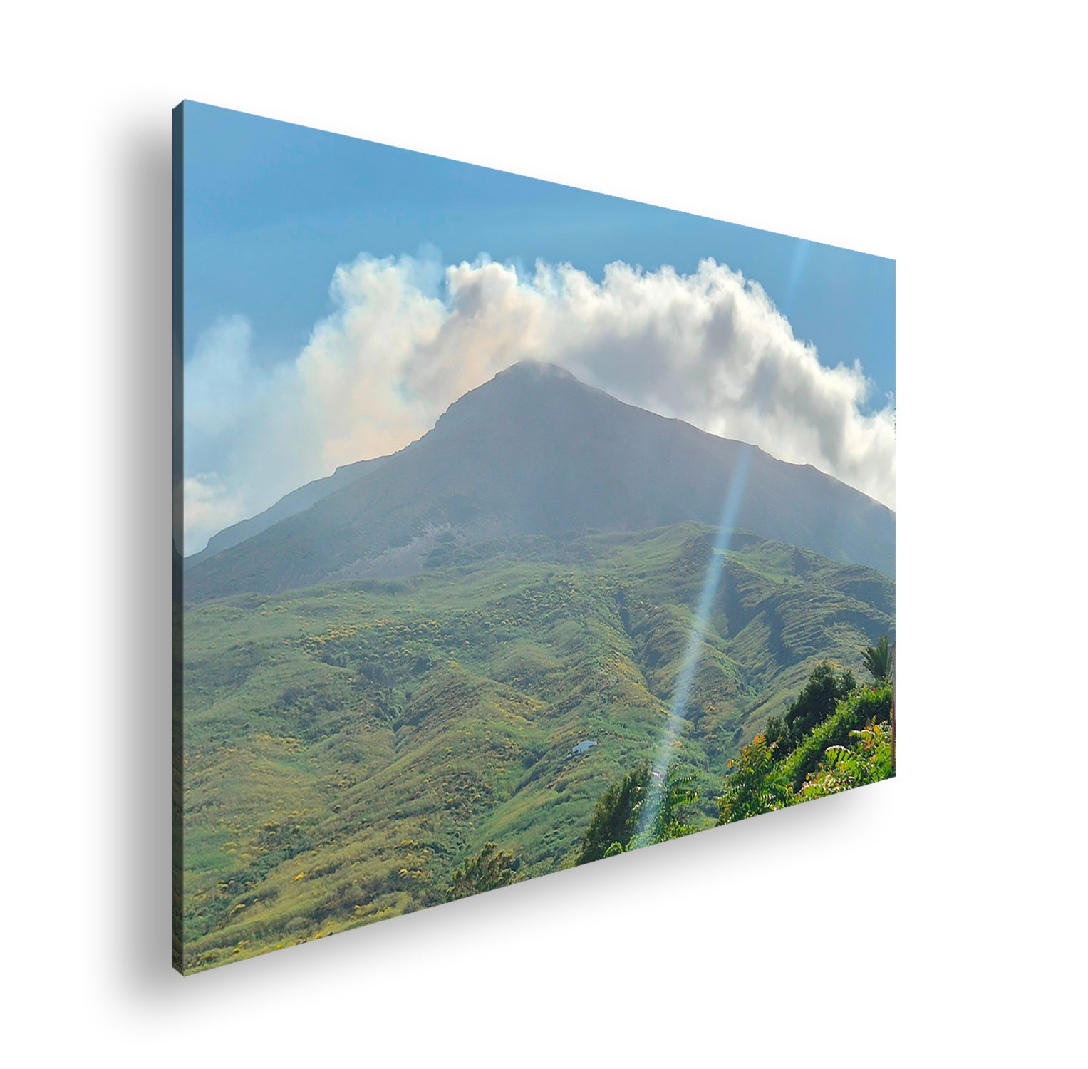 Hauptbild Farbig Standart