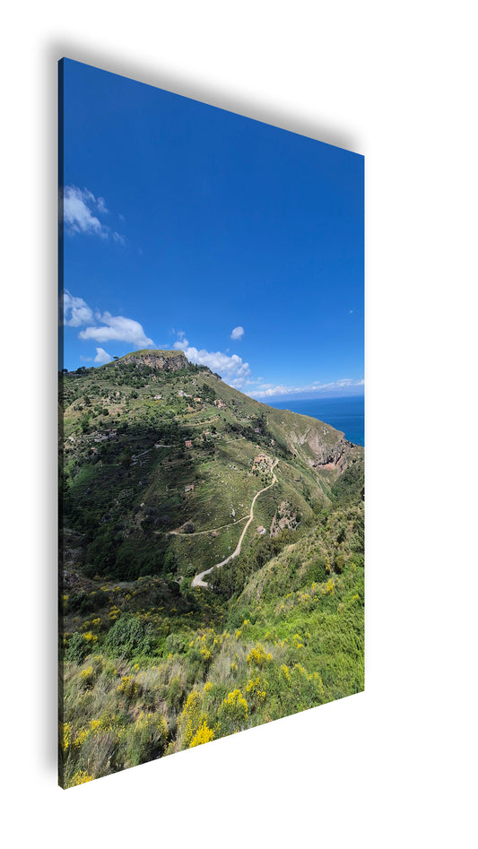 Hauptbild Farbig Standart