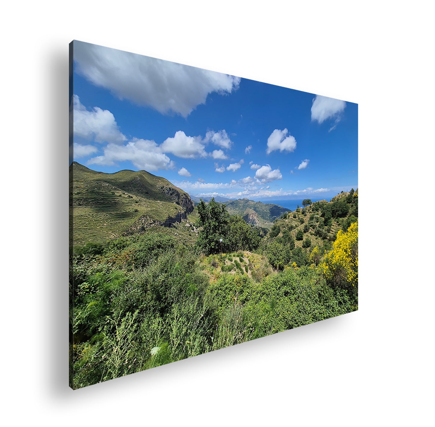 Hauptbild Farbig Standart