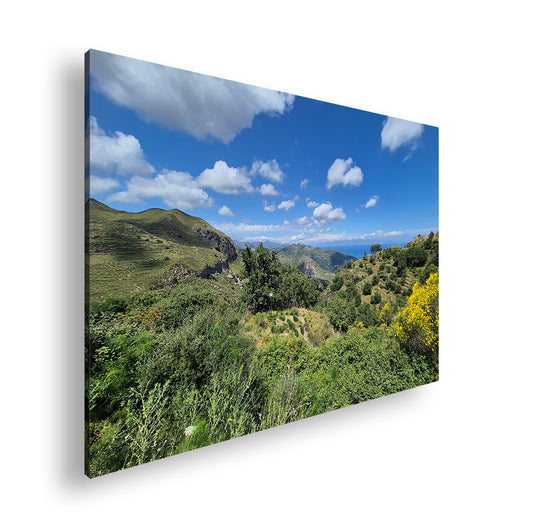 Hauptbild Farbig Standart