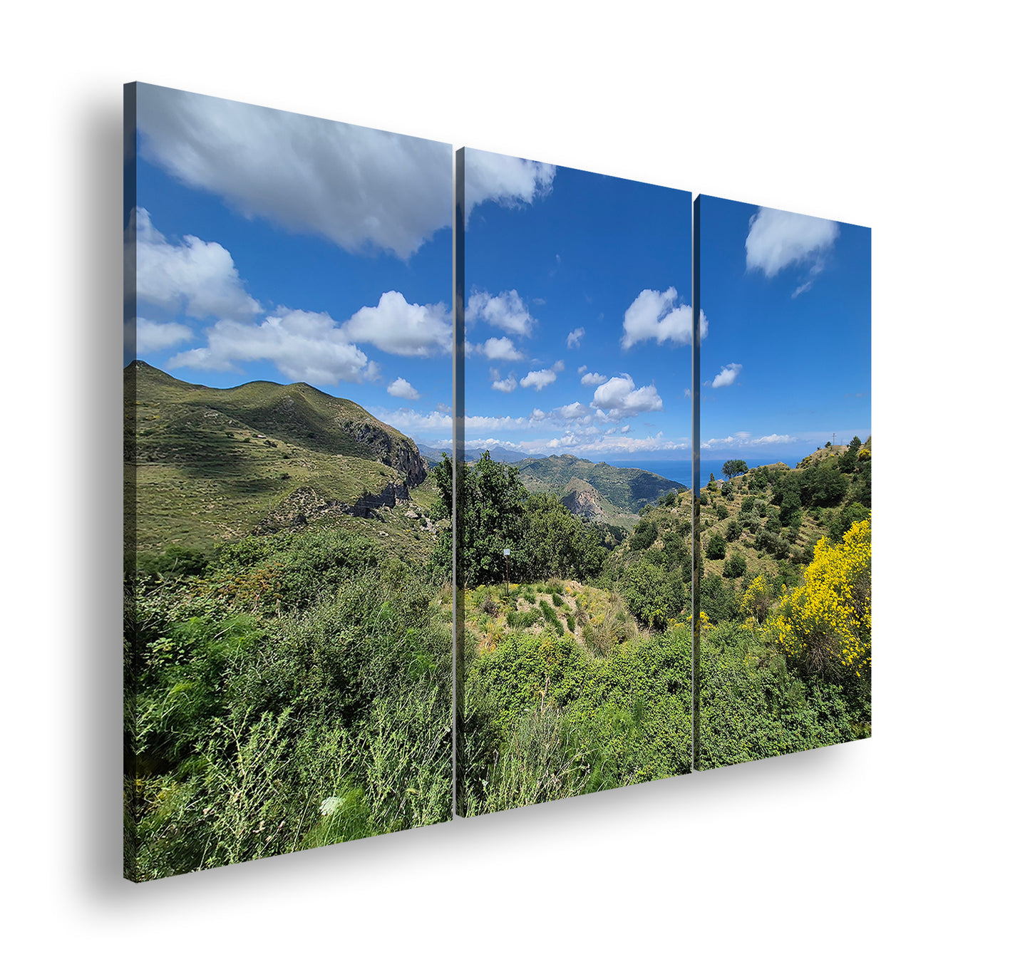 Hauptbild Farbig 3 Teilig