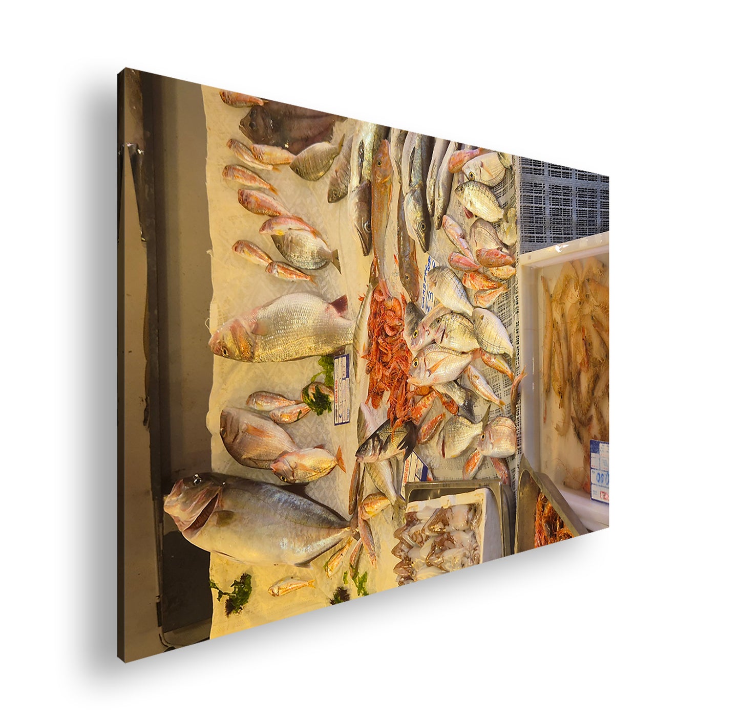 Hauptbild Farbig Standart