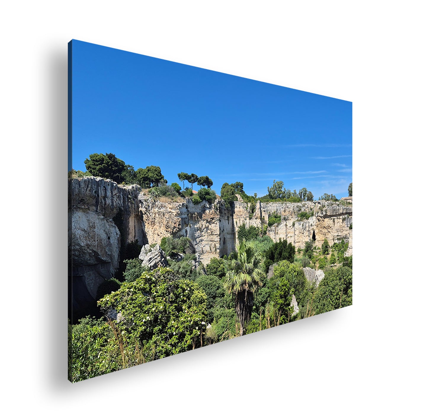 Hauptbild Farbig Standart