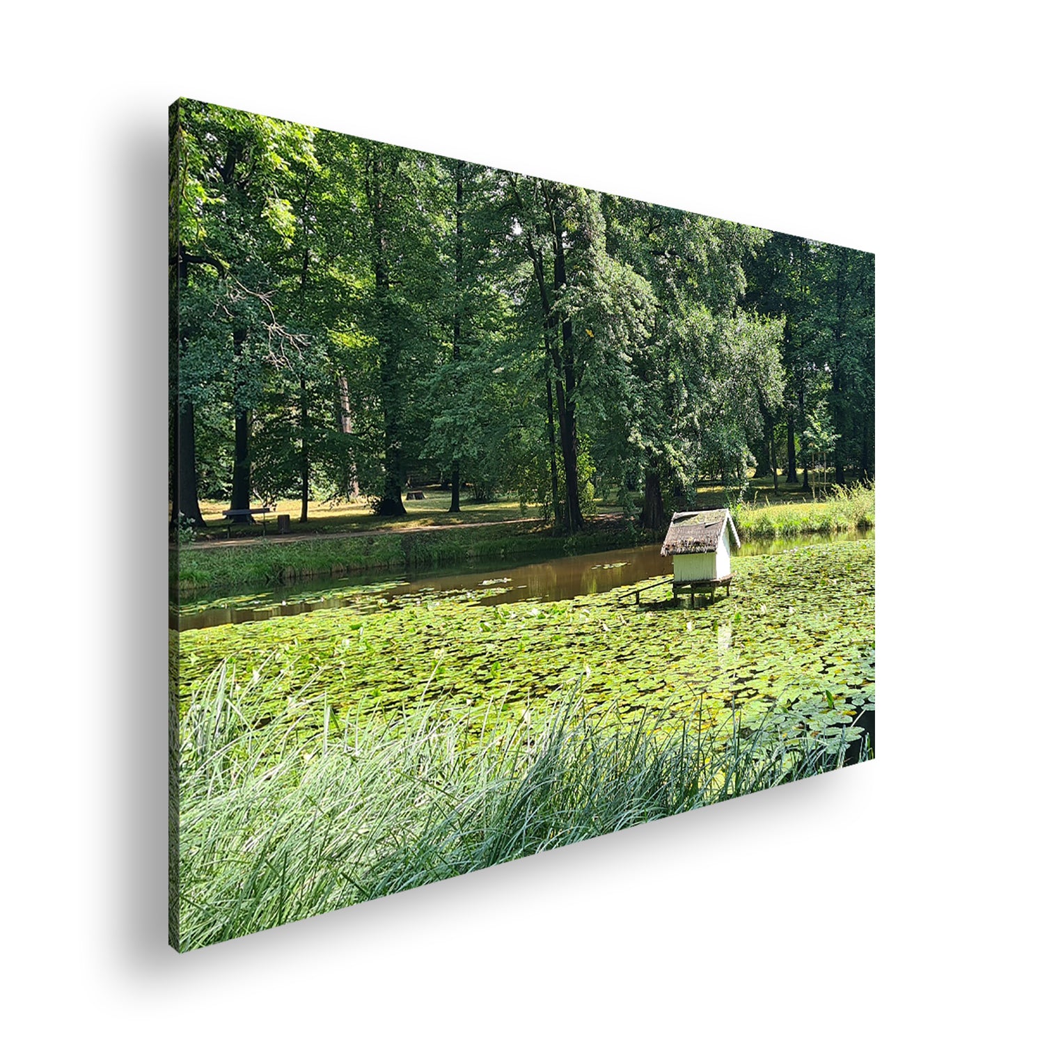 Hauptbild Farbig Standart