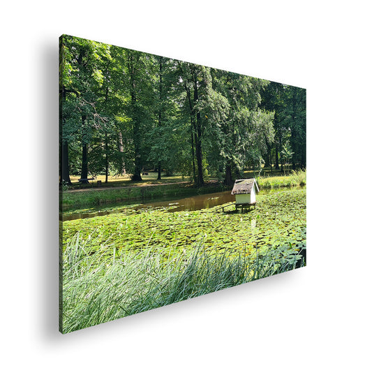 Hauptbild Farbig Standart