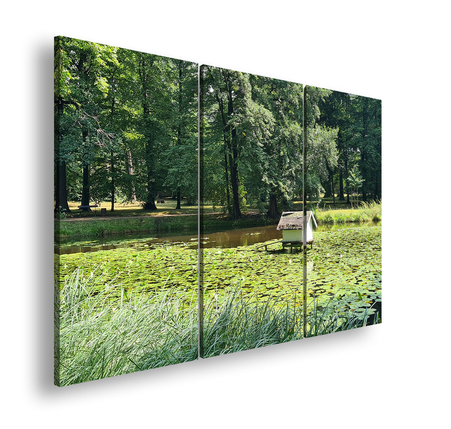 Hauptbild Farbig 3 Teilig