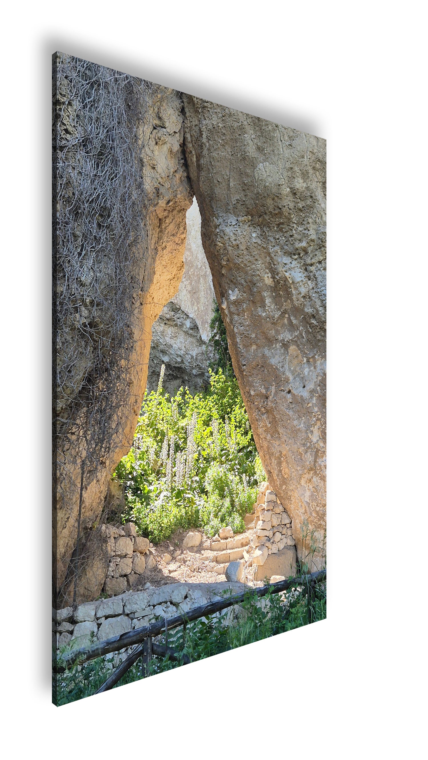 Hauptbild Farbig Standart