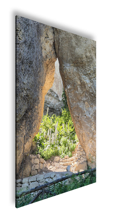 Hauptbild Farbig Standart