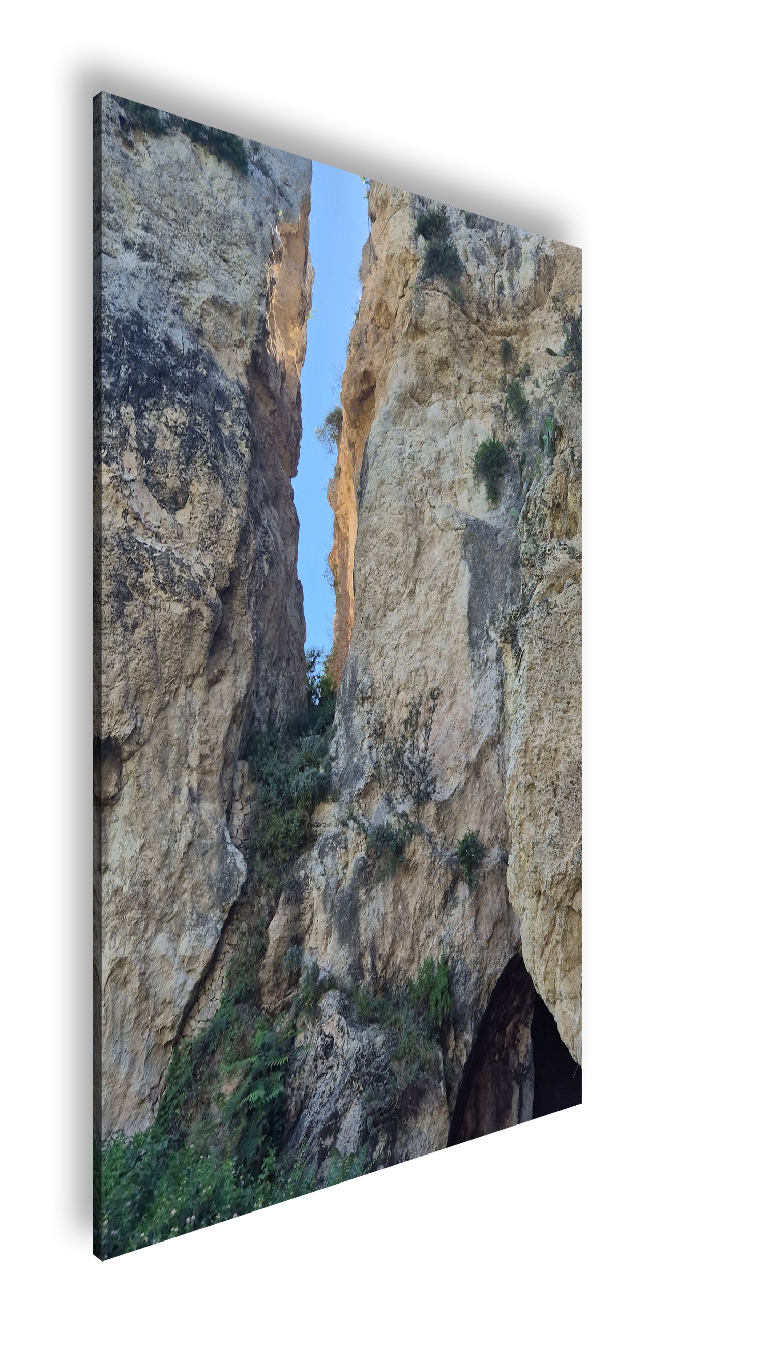 Hauptbild Farbig Standart