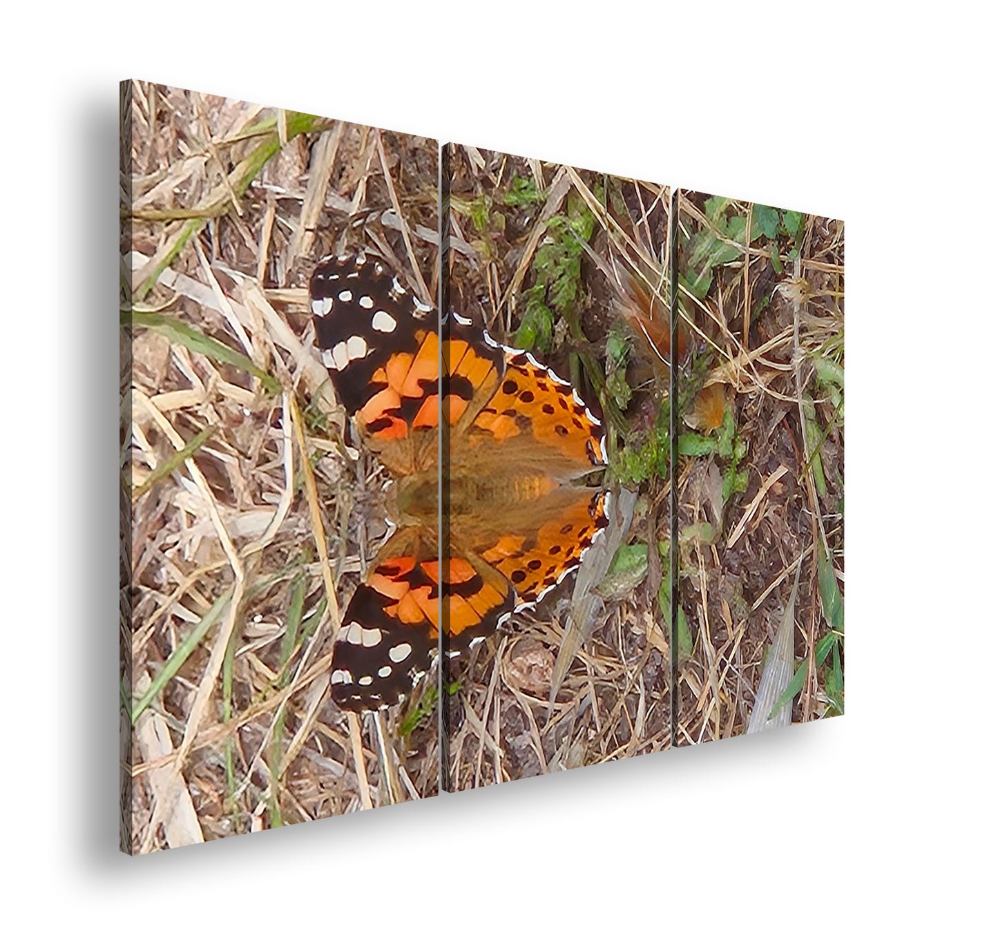 Hauptbild Farbig 3 Teilig